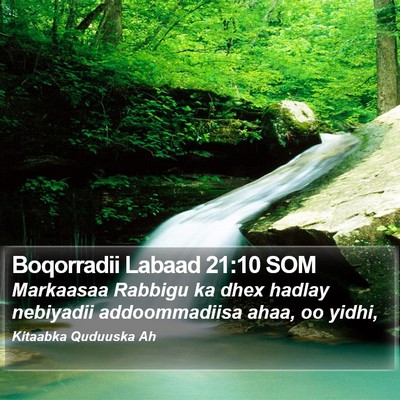Boqorradii Labaad 21:10 SOM Bible Verse Image