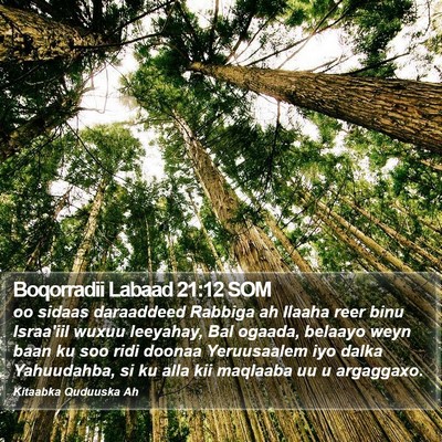 Boqorradii Labaad 21:12 SOM Bible Verse Image