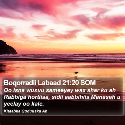 Boqorradii Labaad 21:20 SOM Bible Verse Image