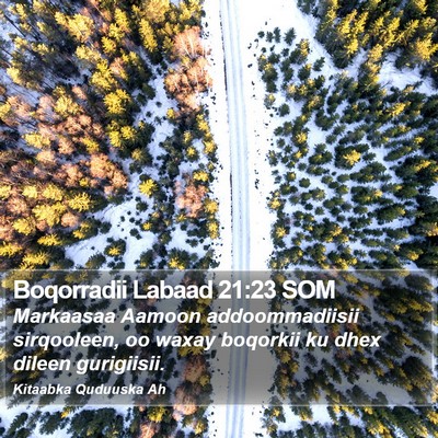 Boqorradii Labaad 21:23 SOM Bible Verse Image