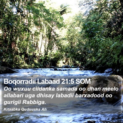 Boqorradii Labaad 21:5 SOM Bible Verse Image