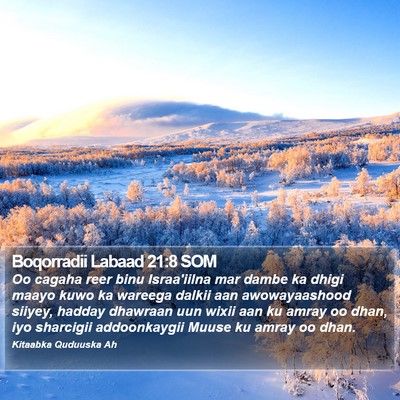 Boqorradii Labaad 21:8 SOM Bible Verse Image