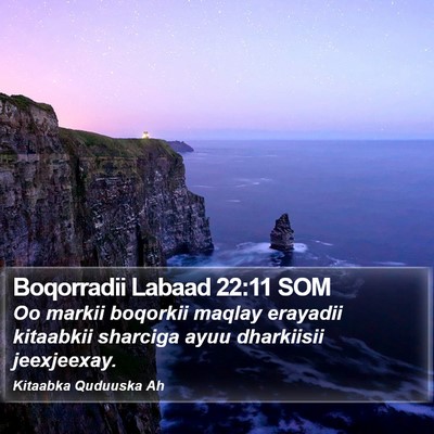 Boqorradii Labaad 22:11 SOM Bible Verse Image