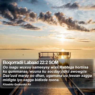 Boqorradii Labaad 22:2 SOM Bible Verse Image
