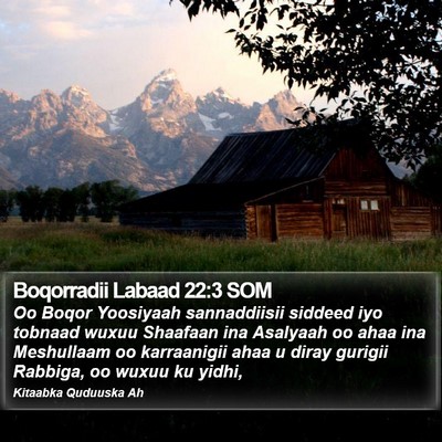 Boqorradii Labaad 22:3 SOM Bible Verse Image