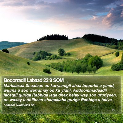 Boqorradii Labaad 22:9 SOM Bible Verse Image
