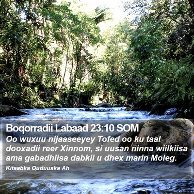 Boqorradii Labaad 23:10 SOM Bible Verse Image