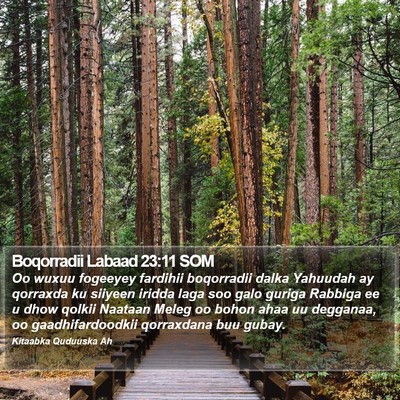Boqorradii Labaad 23:11 SOM Bible Verse Image