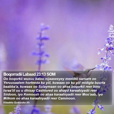 Boqorradii Labaad 23:13 SOM Bible Verse Image