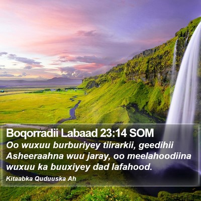 Boqorradii Labaad 23:14 SOM Bible Verse Image