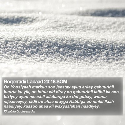 Boqorradii Labaad 23:16 SOM Bible Verse Image