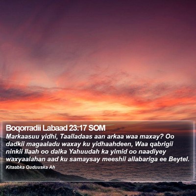Boqorradii Labaad 23:17 SOM Bible Verse Image