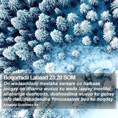Boqorradii Labaad 23:20 SOM Bible Verse Image