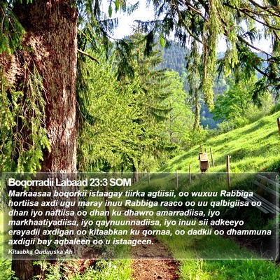 Boqorradii Labaad 23:3 SOM Bible Verse Image