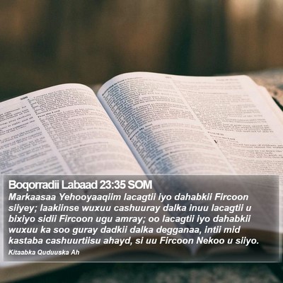 Boqorradii Labaad 23:35 SOM Bible Verse Image