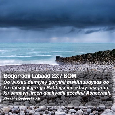 Boqorradii Labaad 23:7 SOM Bible Verse Image