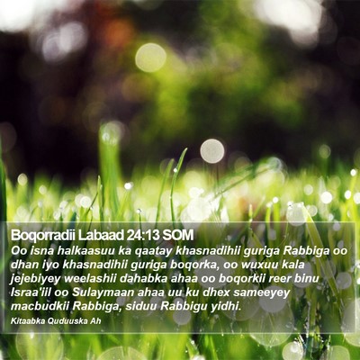 Boqorradii Labaad 24:13 SOM Bible Verse Image