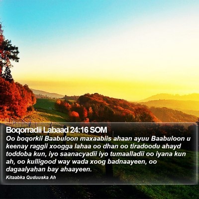 Boqorradii Labaad 24:16 SOM Bible Verse Image