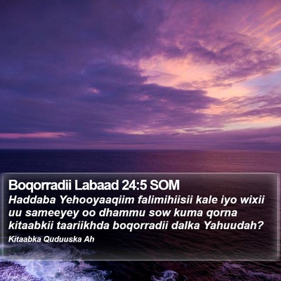 Boqorradii Labaad 24:5 SOM Bible Verse Image