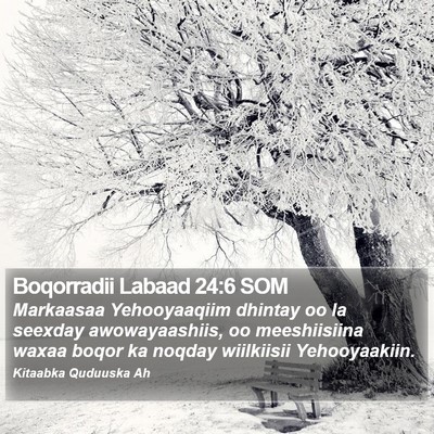 Boqorradii Labaad 24:6 SOM Bible Verse Image