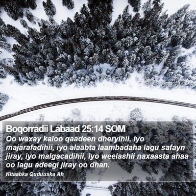 Boqorradii Labaad 25:14 SOM Bible Verse Image