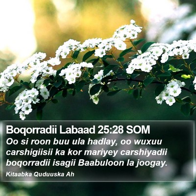 Boqorradii Labaad 25:28 SOM Bible Verse Image