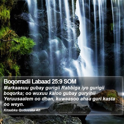 Boqorradii Labaad 25:9 SOM Bible Verse Image