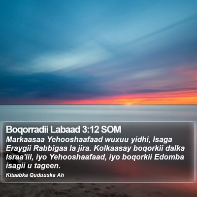 Boqorradii Labaad 3:12 SOM Bible Verse Image