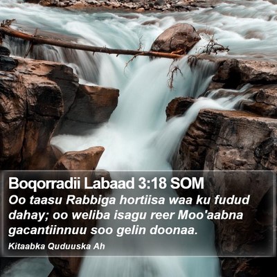 Boqorradii Labaad 3:18 SOM Bible Verse Image