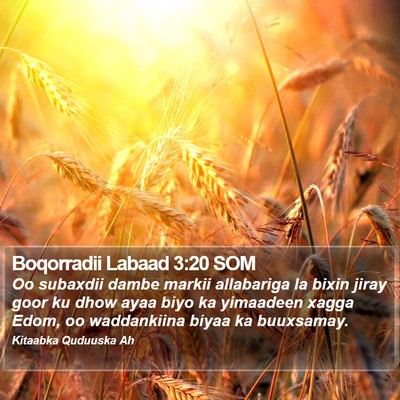 Boqorradii Labaad 3:20 SOM Bible Verse Image