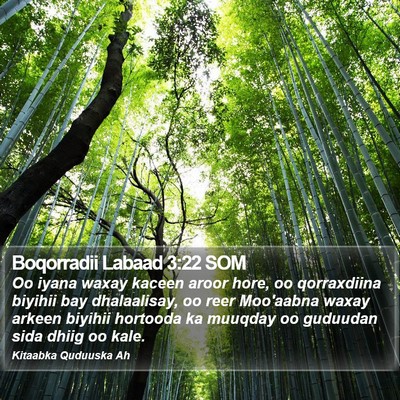 Boqorradii Labaad 3:22 SOM Bible Verse Image