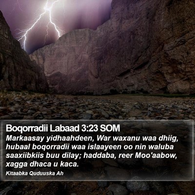 Boqorradii Labaad 3:23 SOM Bible Verse Image