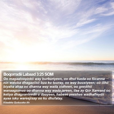 Boqorradii Labaad 3:25 SOM Bible Verse Image