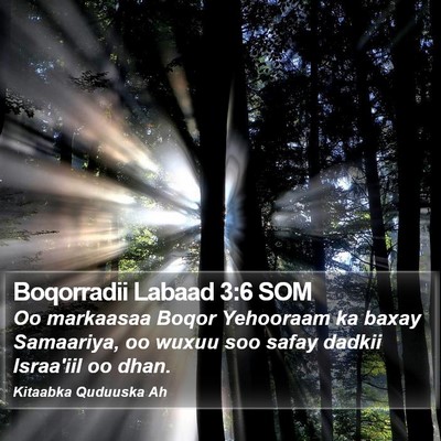 Boqorradii Labaad 3:6 SOM Bible Verse Image