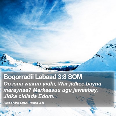 Boqorradii Labaad 3:8 SOM Bible Verse Image
