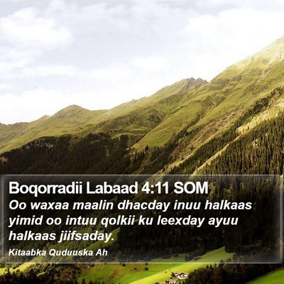 Boqorradii Labaad 4:11 SOM Bible Verse Image