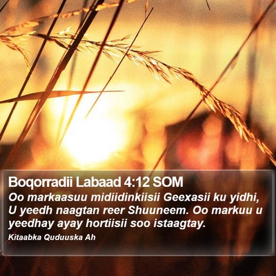 Boqorradii Labaad 4:12 SOM Bible Verse Image