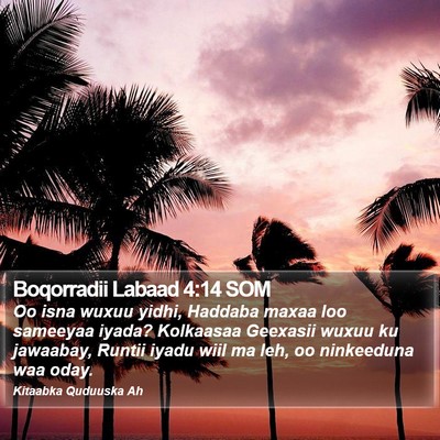 Boqorradii Labaad 4:14 SOM Bible Verse Image