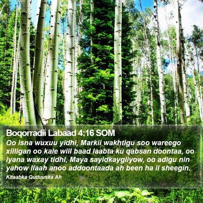 Boqorradii Labaad 4:16 SOM Bible Verse Image