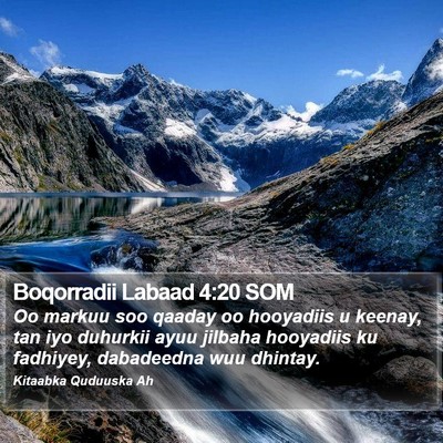 Boqorradii Labaad 4:20 SOM Bible Verse Image