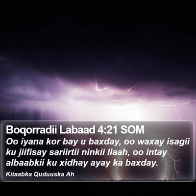 Boqorradii Labaad 4:21 SOM Bible Verse Image
