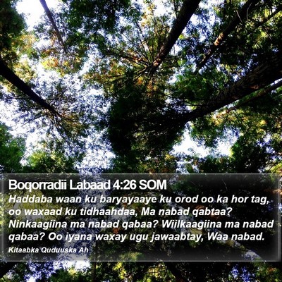 Boqorradii Labaad 4:26 SOM Bible Verse Image