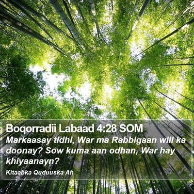 Boqorradii Labaad 4:28 SOM Bible Verse Image