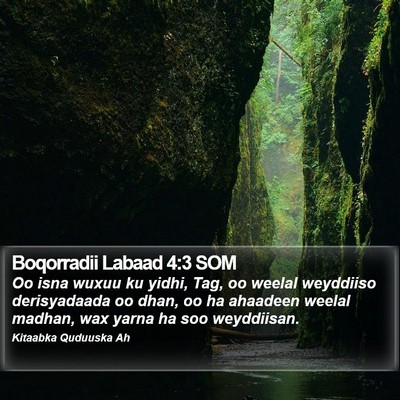 Boqorradii Labaad 4:3 SOM Bible Verse Image