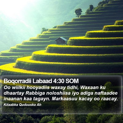 Boqorradii Labaad 4:30 SOM Bible Verse Image