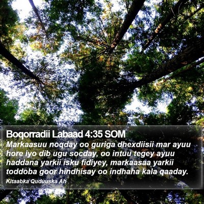 Boqorradii Labaad 4:35 SOM Bible Verse Image