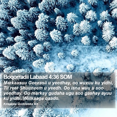 Boqorradii Labaad 4:36 SOM Bible Verse Image