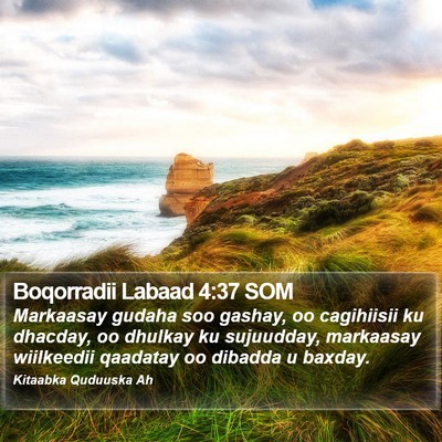 Boqorradii Labaad 4:37 SOM Bible Verse Image