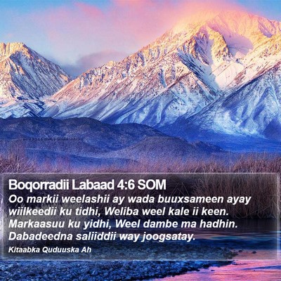 Boqorradii Labaad 4:6 SOM Bible Verse Image