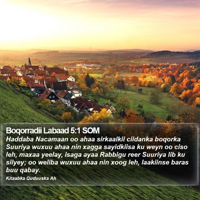 Boqorradii Labaad 5:1 SOM Bible Verse Image